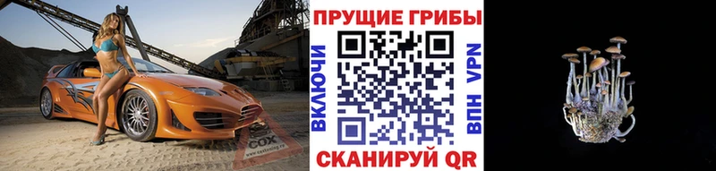 Псилоцибиновые грибы Cubensis  Рузаевка 